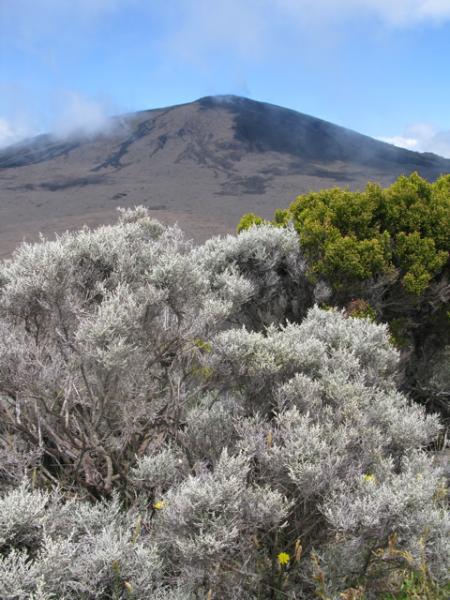 volcan