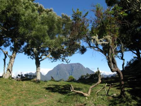 piton des neiges